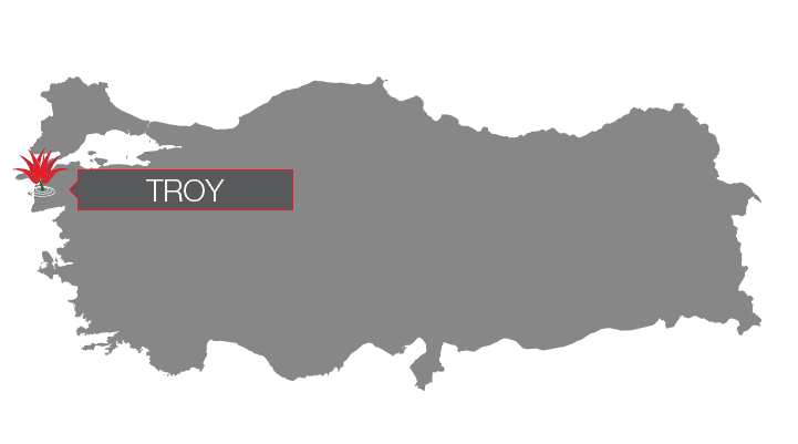 city of troy map